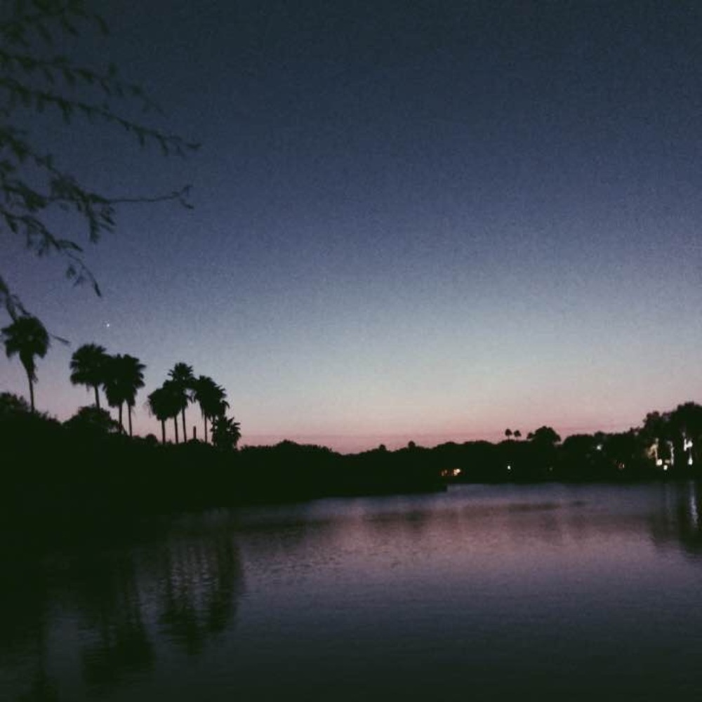 Meet your Posher, Mikey